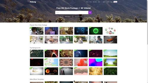 小吃爆料视频下载安装,轻松享受美食瞬间  第2张